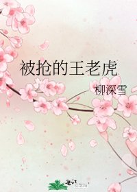 被抢的王老虎